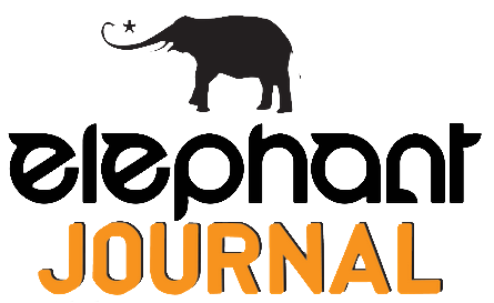 Elephant Journal ‘The Man Behind the Curtain,” Book Excerpt